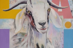 Animales