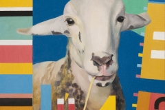 Animales