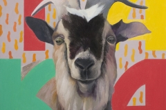 Animales